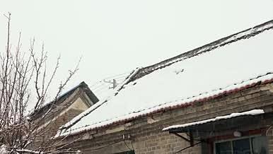 北方冬天农村下雪视频视频的预览图